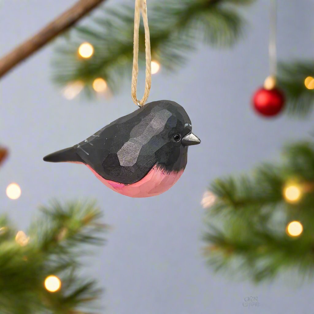 Pink Robin Hanging