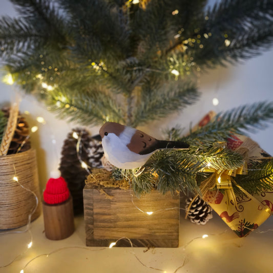 Sparraw V2 Bird Clip-on