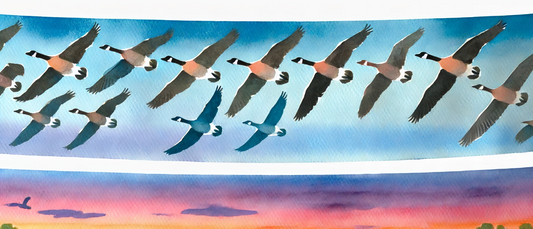 The Graceful and Resilient Goose: A Closer Look at an Iconic Bird