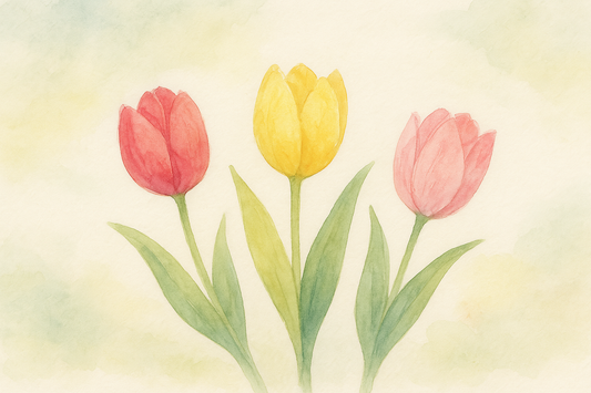 🌷 Why Tulips Make the Perfect Gift (Without Trying Too Hard)