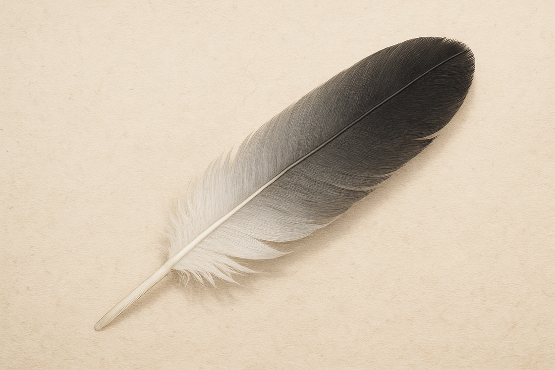 The Feather of the Canada Jay: Meaning and Symbolism