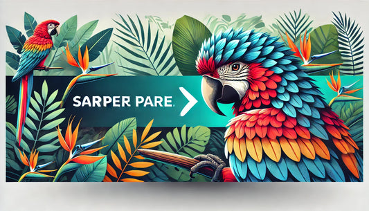 How Parrots Express Their Emotions: A Guide to Understanding Parrot Behavior