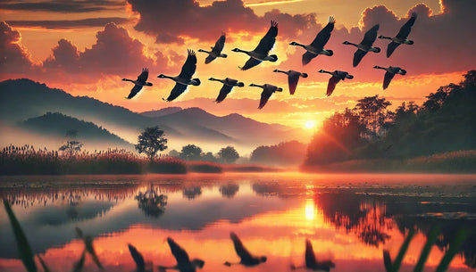 10 Fascinating Facts About Geese