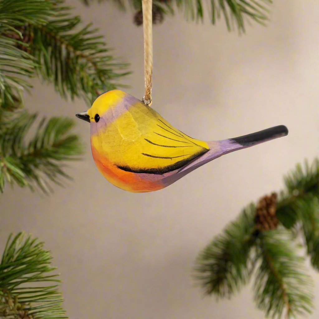 White-Browed Tit-Warbler Hanging