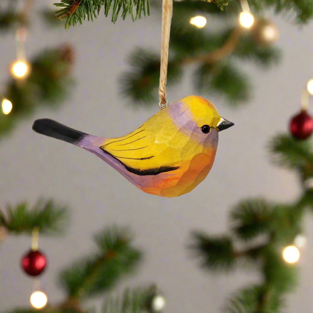 White-Browed Tit-Warbler Hanging