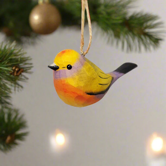 White-Browed Tit-Warbler Hanging