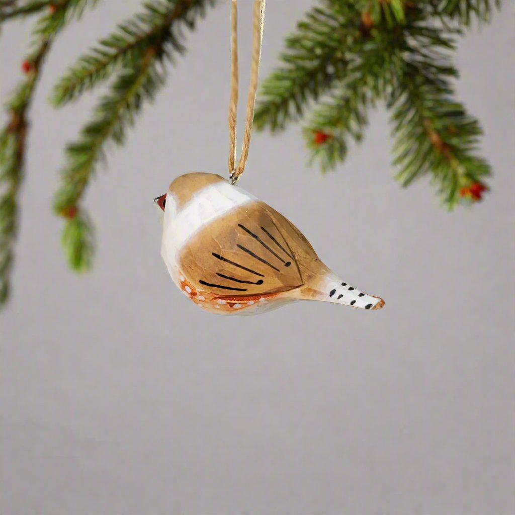 Zebra Finch Hanging
