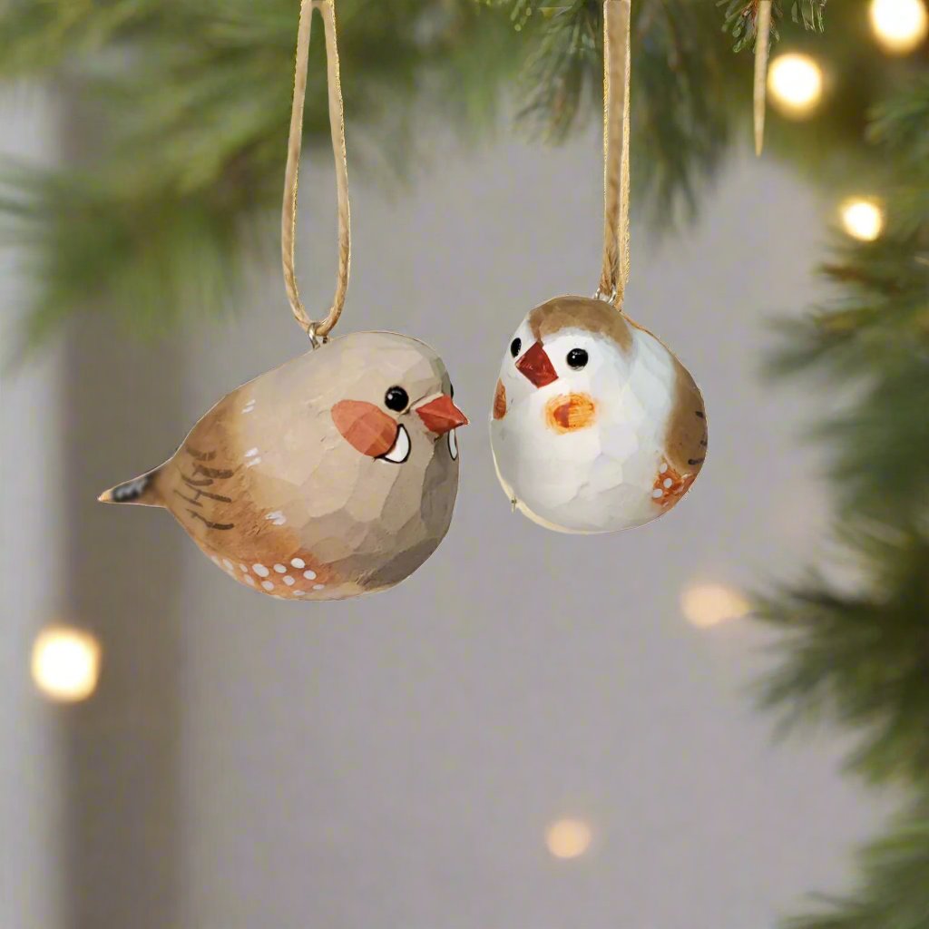 Zebra Finch Hanging