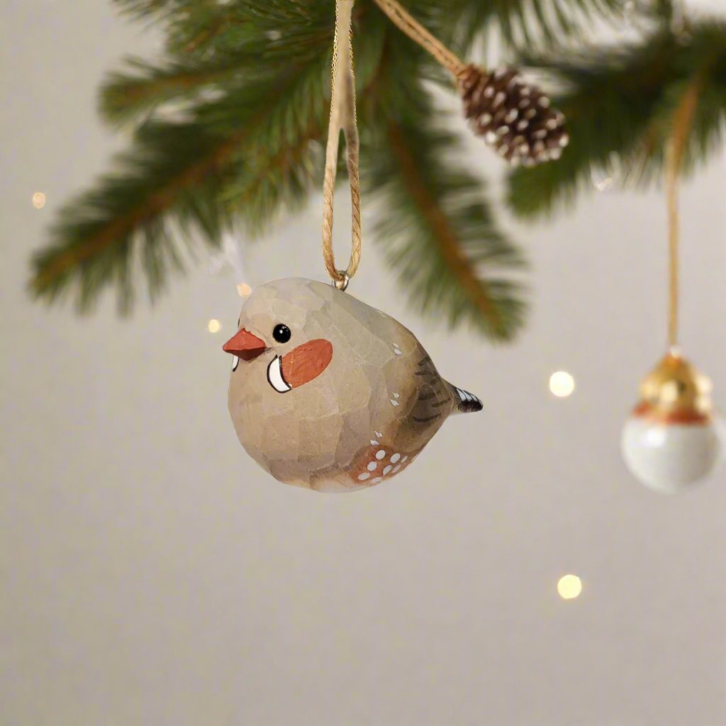 Zebra Finch Hanging