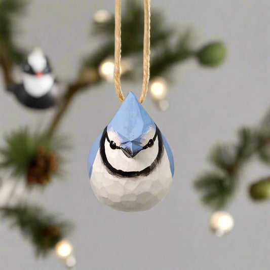 Blue Jay Hanging