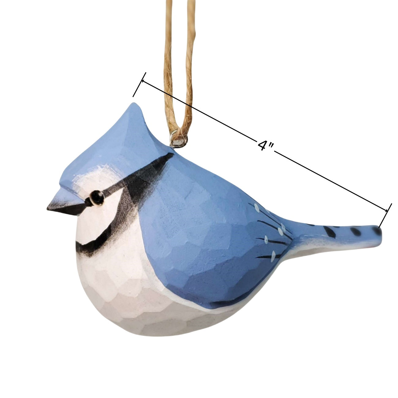 Blue Jay Hanging