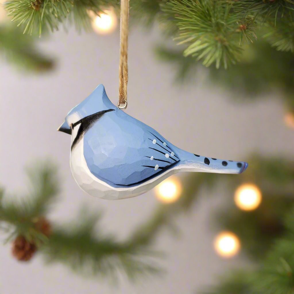 Blue Jay Hanging