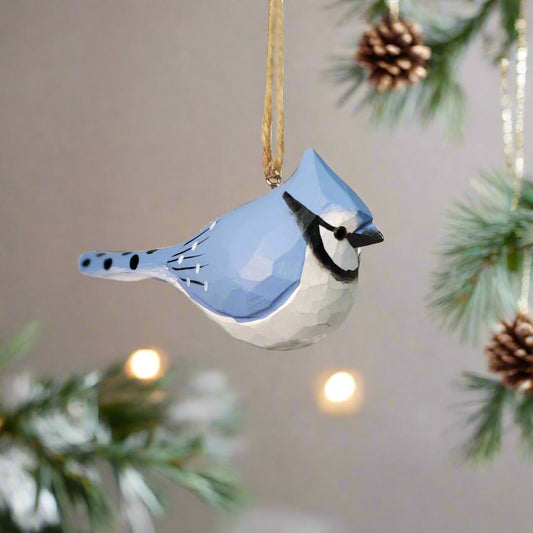 Blue Jay Hanging