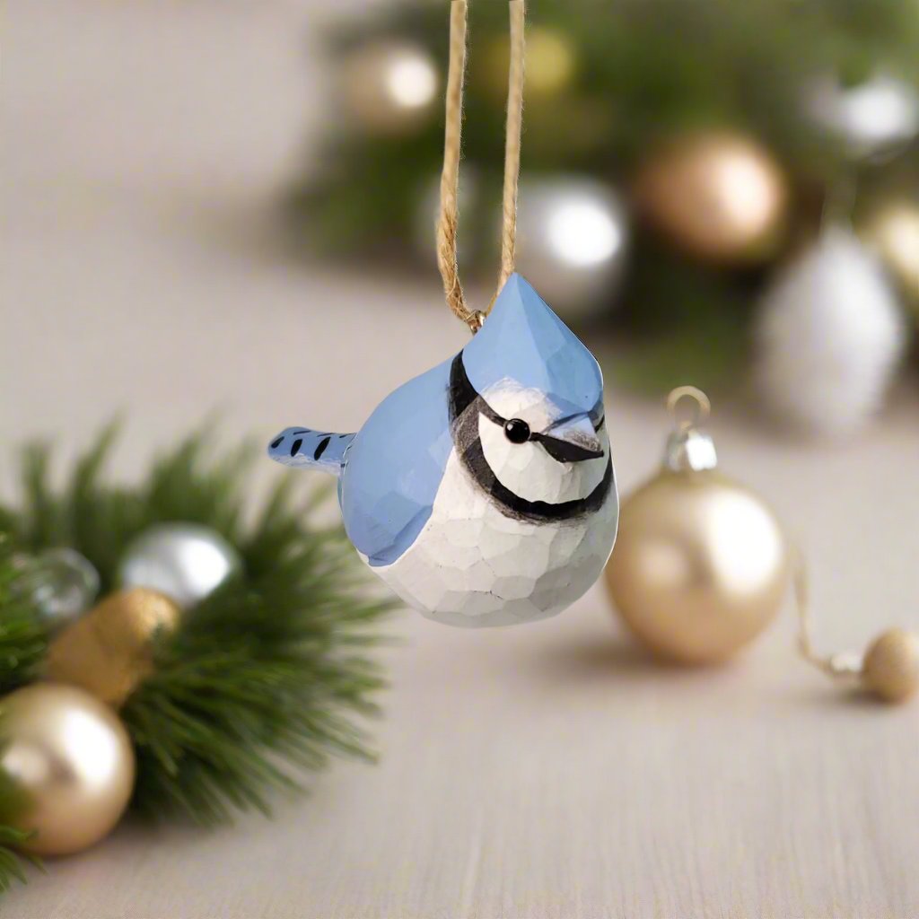 Blue Jay Hanging