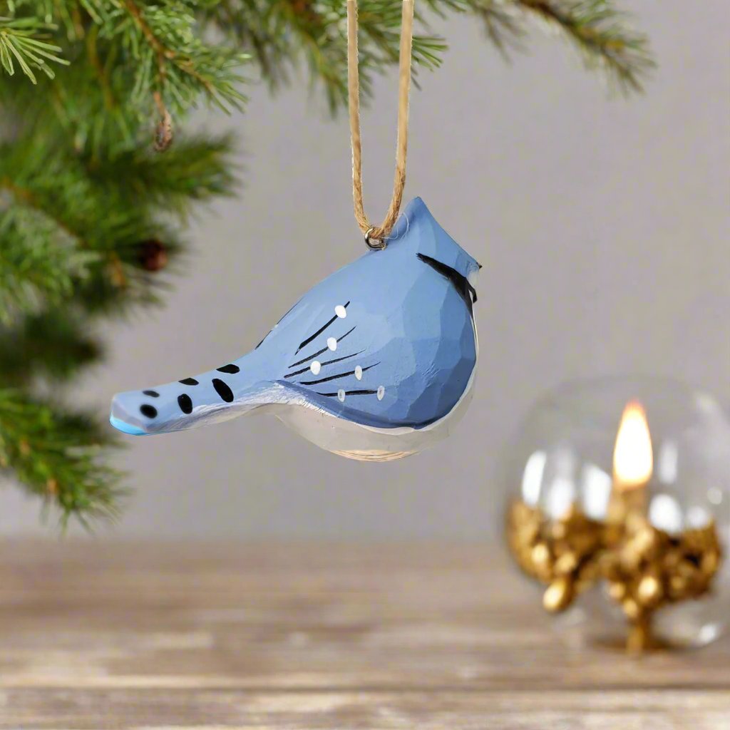 Blue Jay Hanging