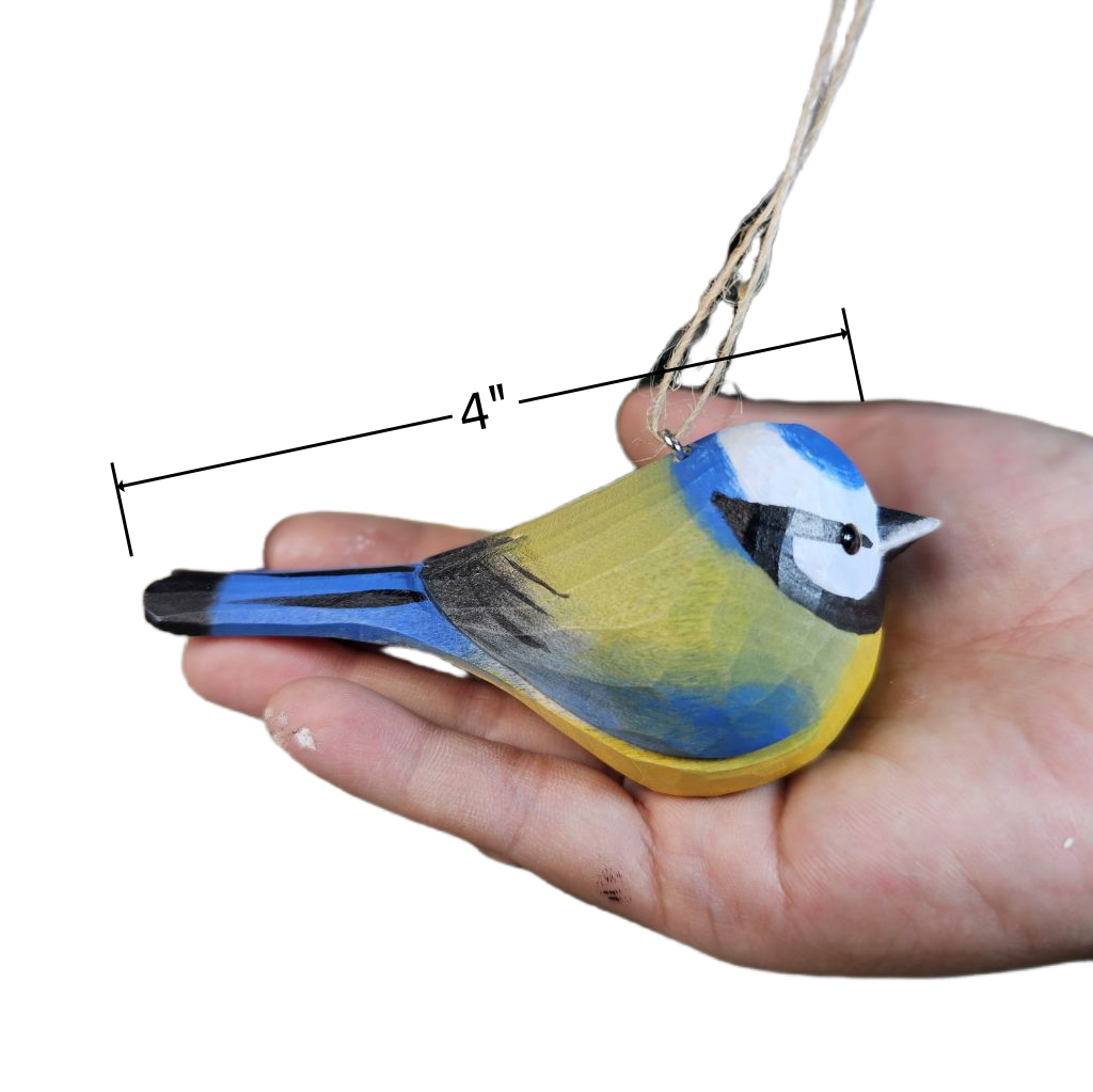 Eurasian Blue Tit Hanging