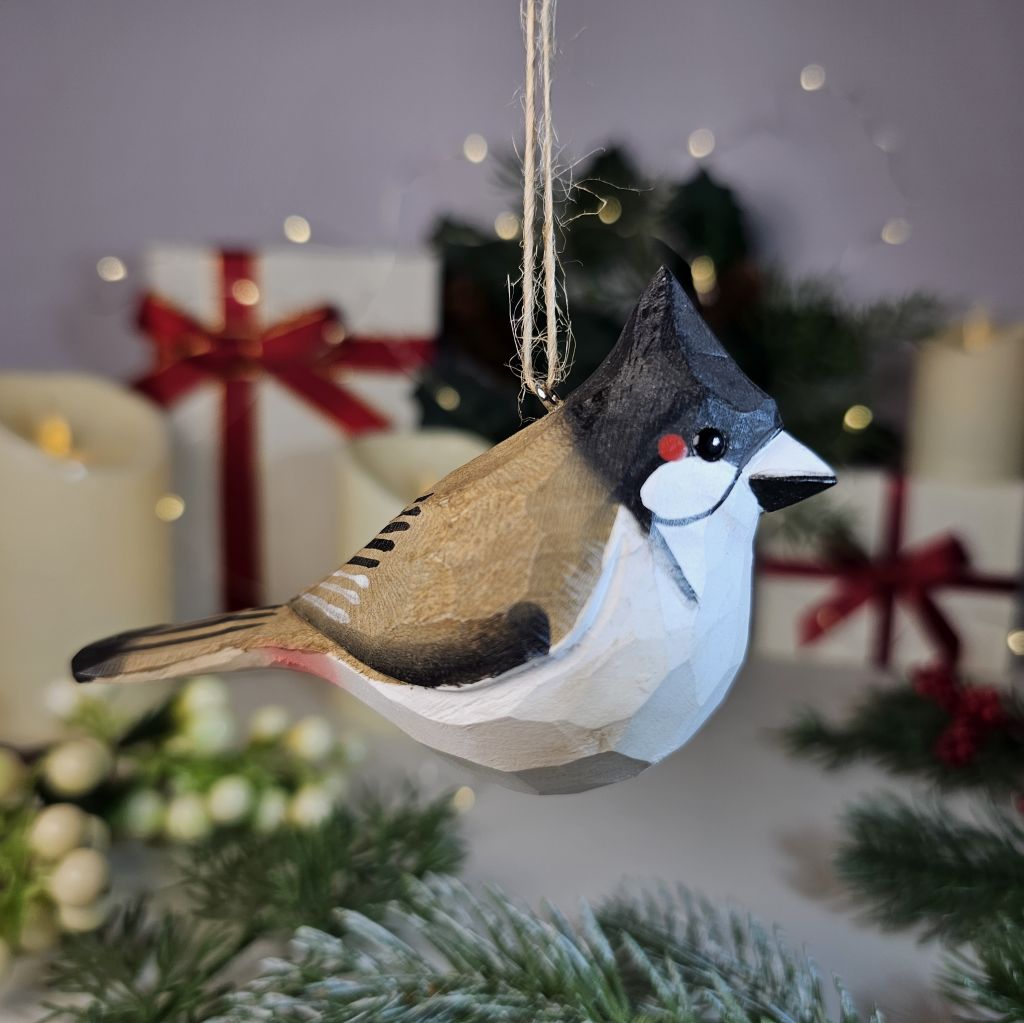 Red-whiskered Bulbul Hanging
