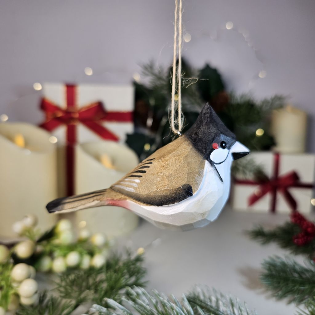 Red-whiskered Bulbul Hanging