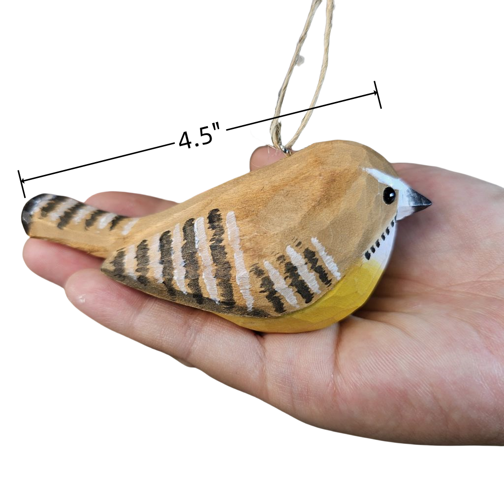 Carolina Wren Hanging