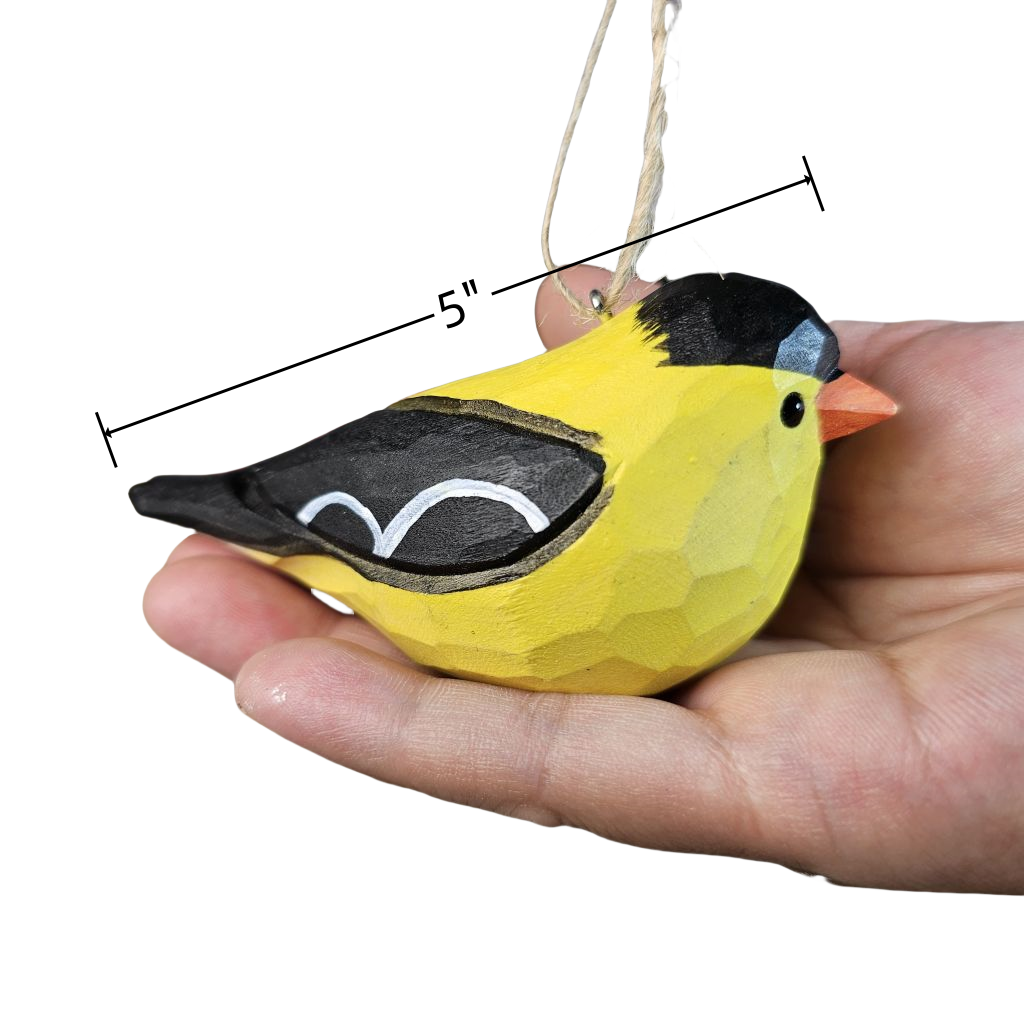 American Goldfinch Hanging