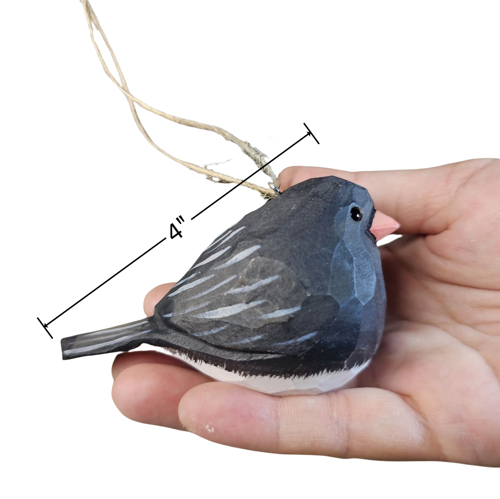 Dark-eyed Junco Hanging