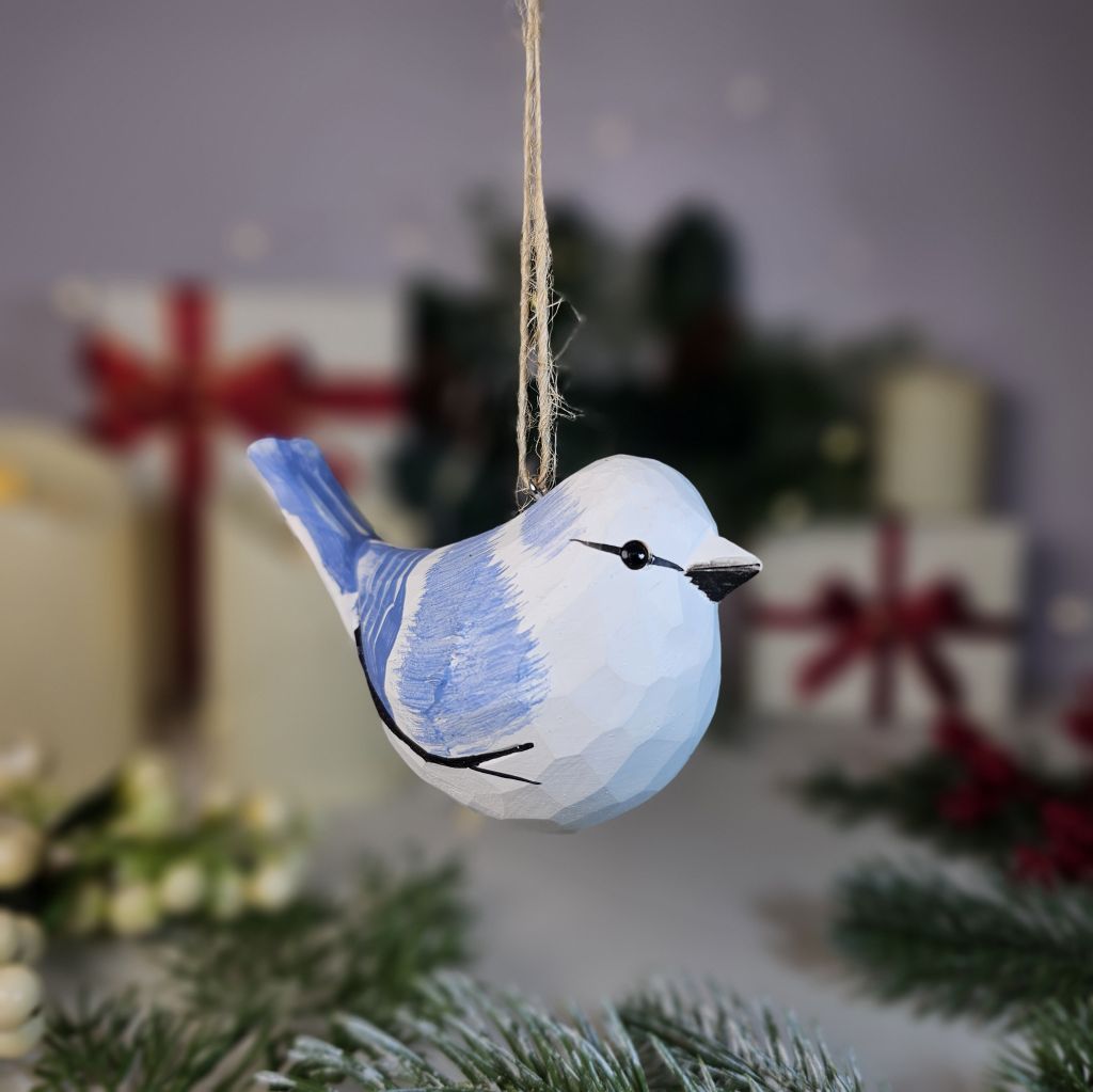 Azure Tit Hanging