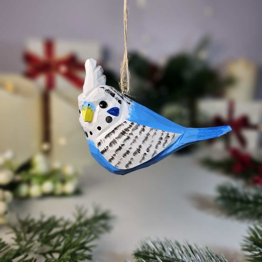 Budgerigar Hanging