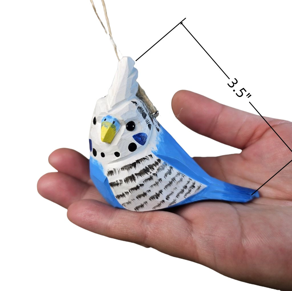 Budgerigar Hanging
