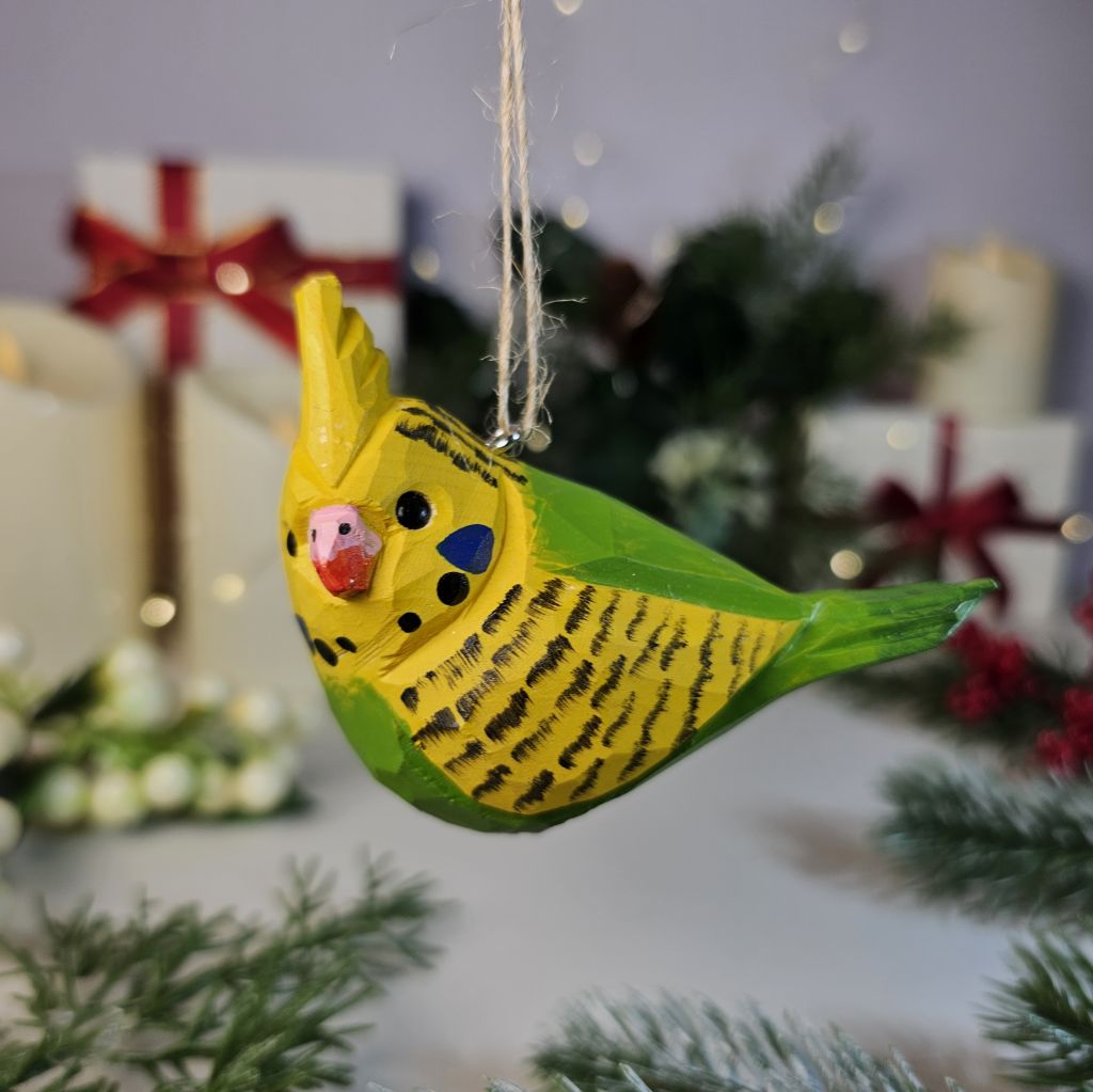 Budgerigar Hanging