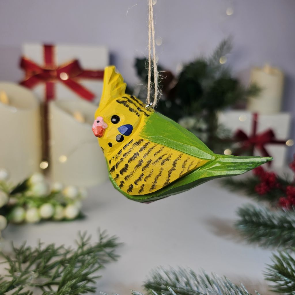 Budgerigar Hanging