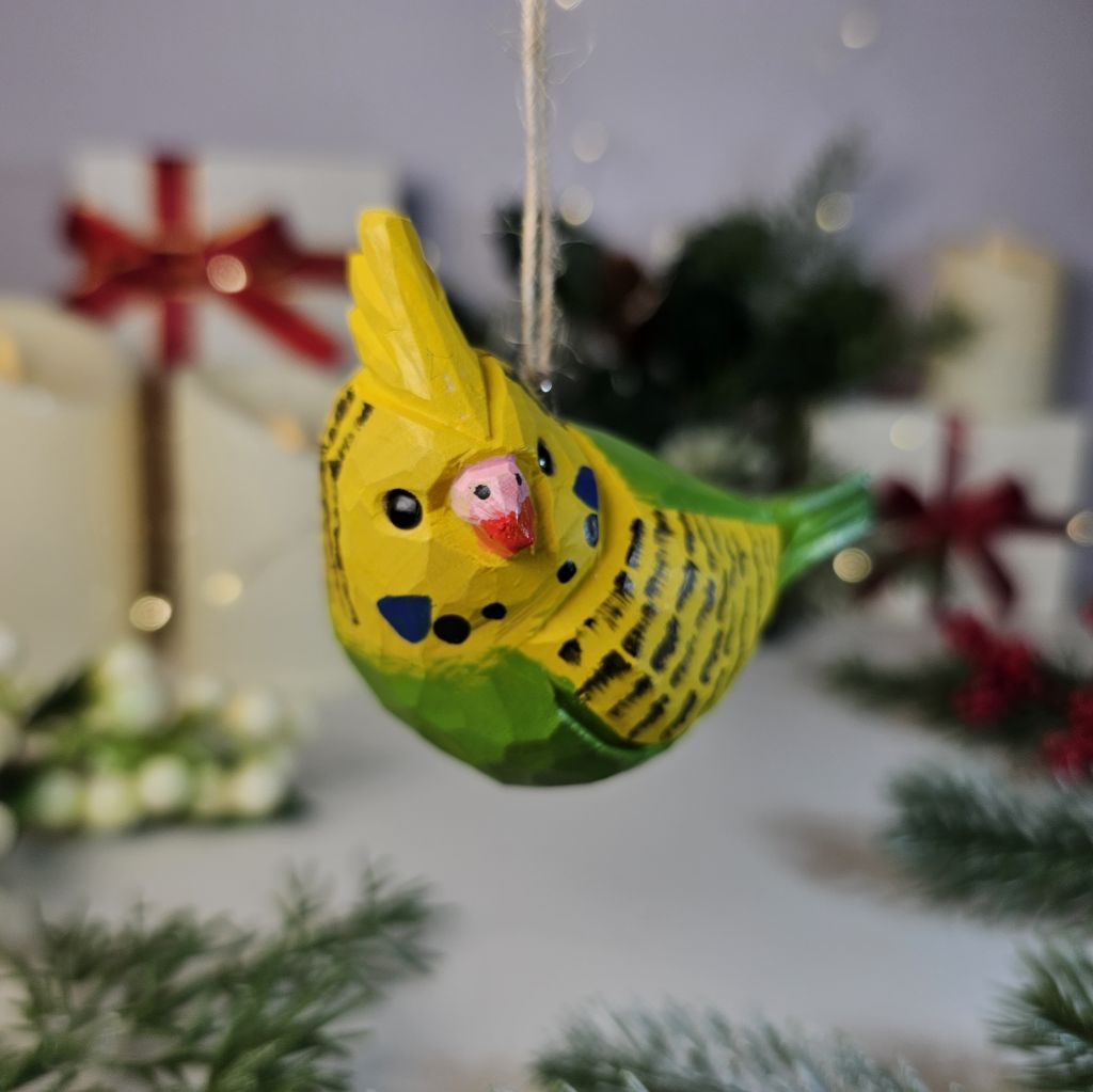 Budgerigar Hanging