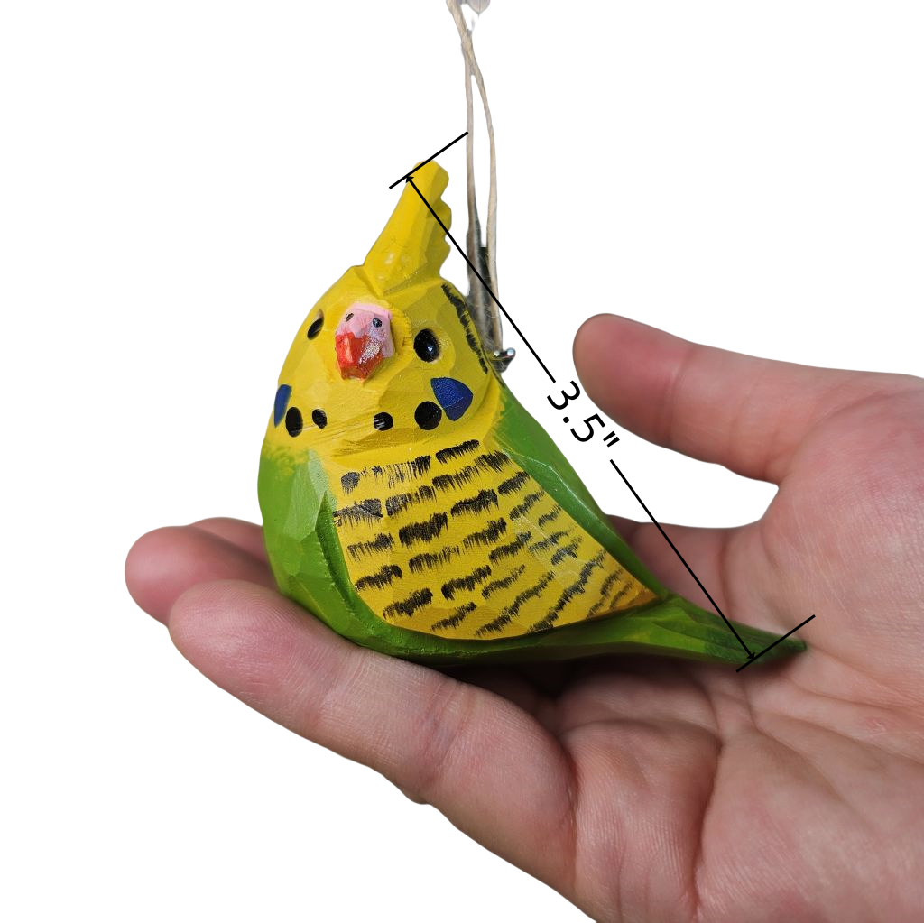 Budgerigar Hanging