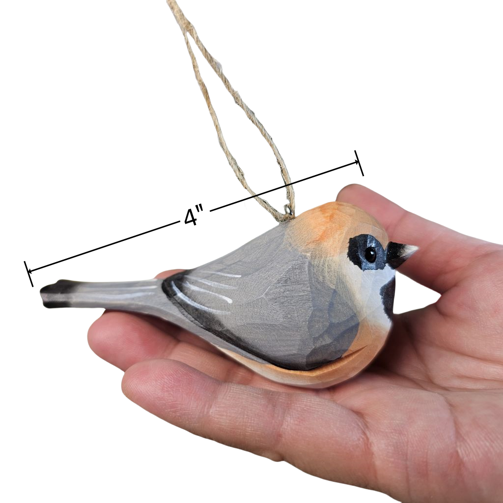 Black-throated Bushtit Hanging