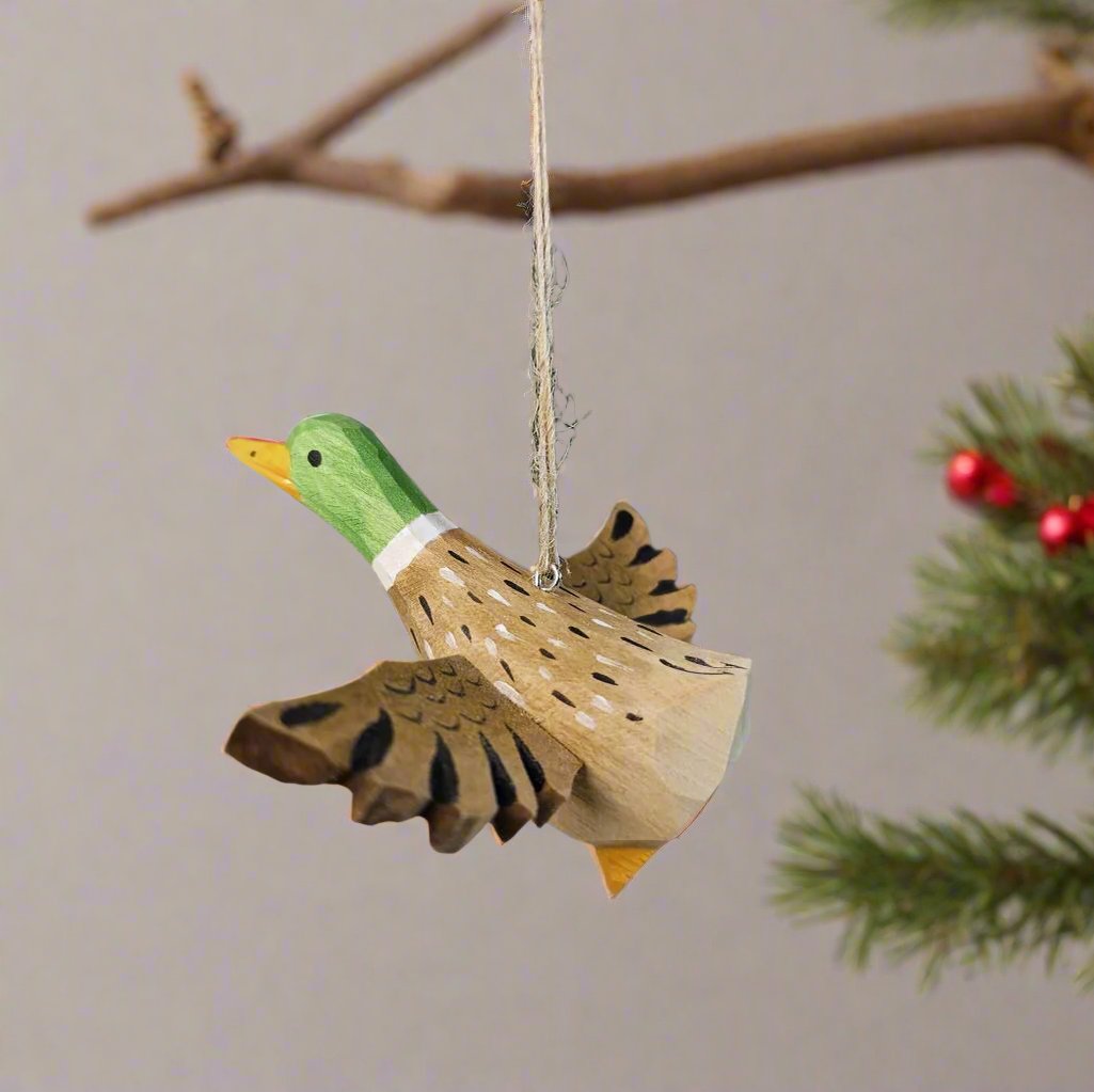 Mallard Hanging