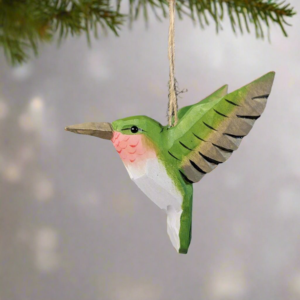 Hummingbird Hanging