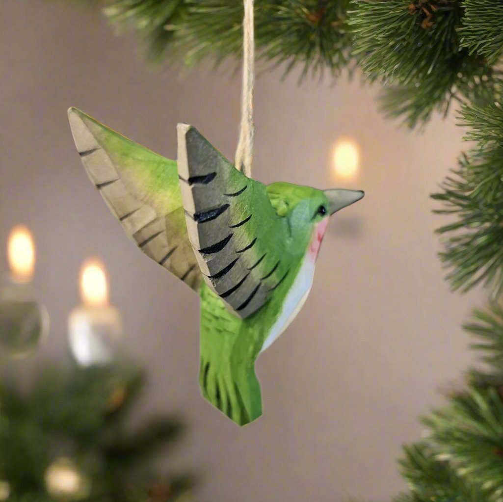 Hummingbird Hanging