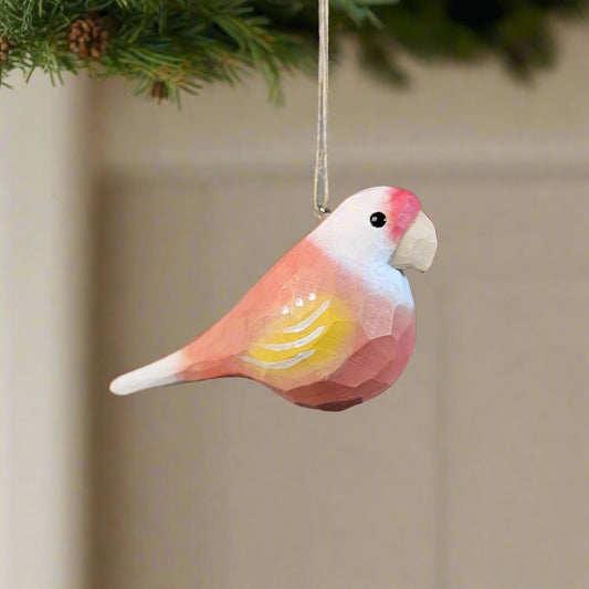 Parakeet Hanging