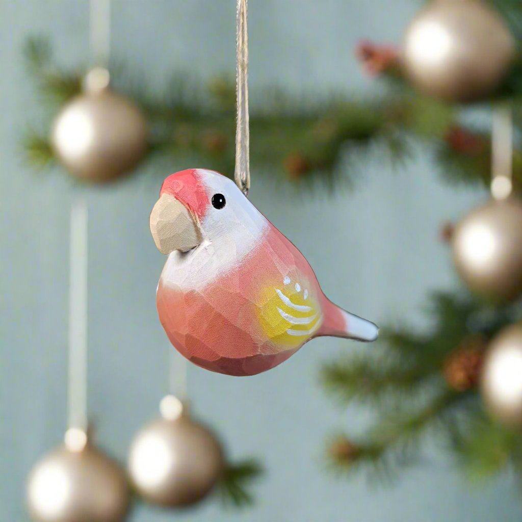 Parakeet Hanging
