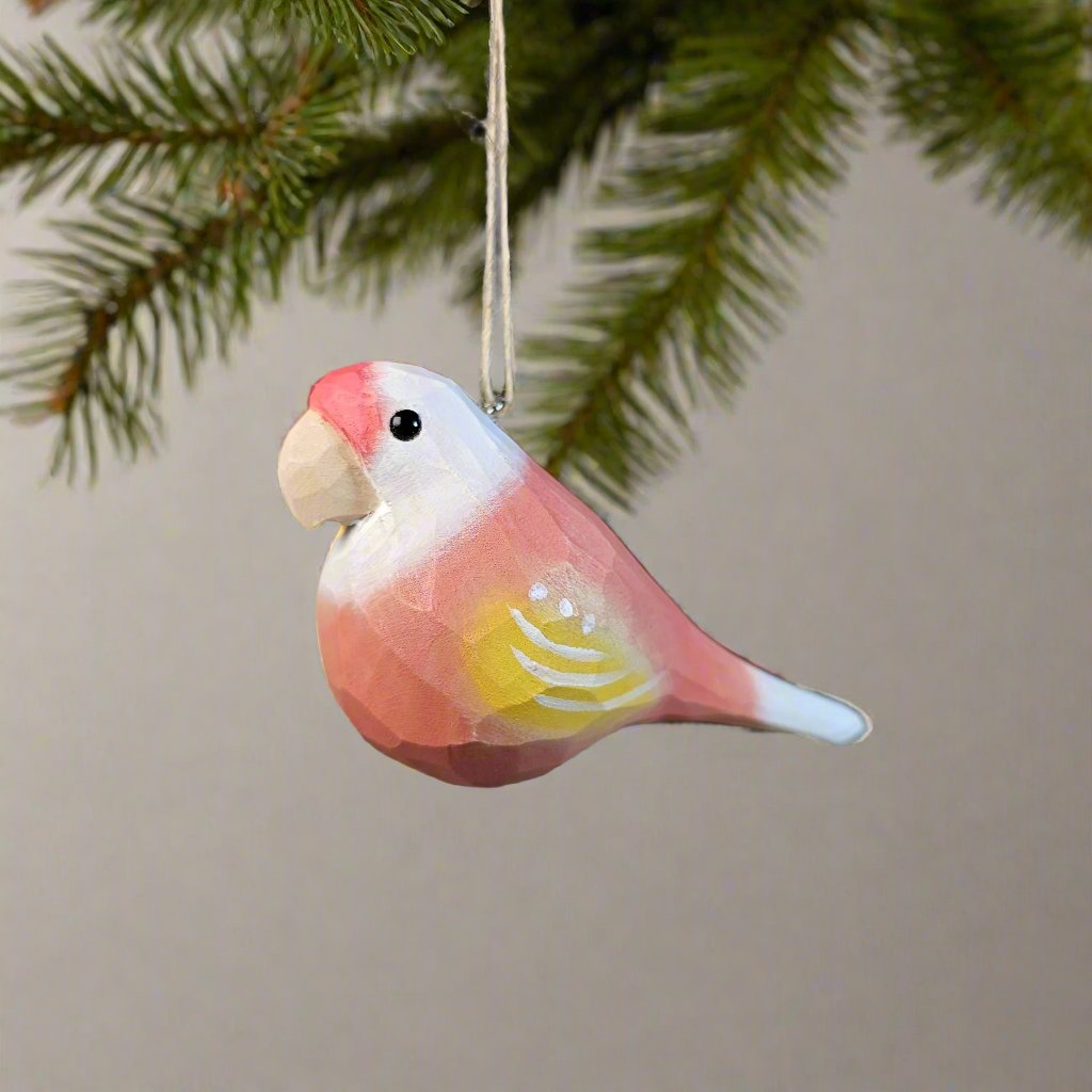 Parakeet Hanging