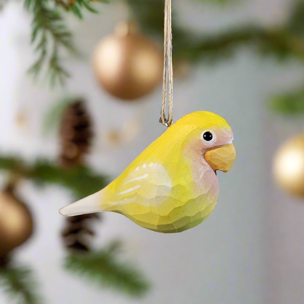Parakeet Hanging