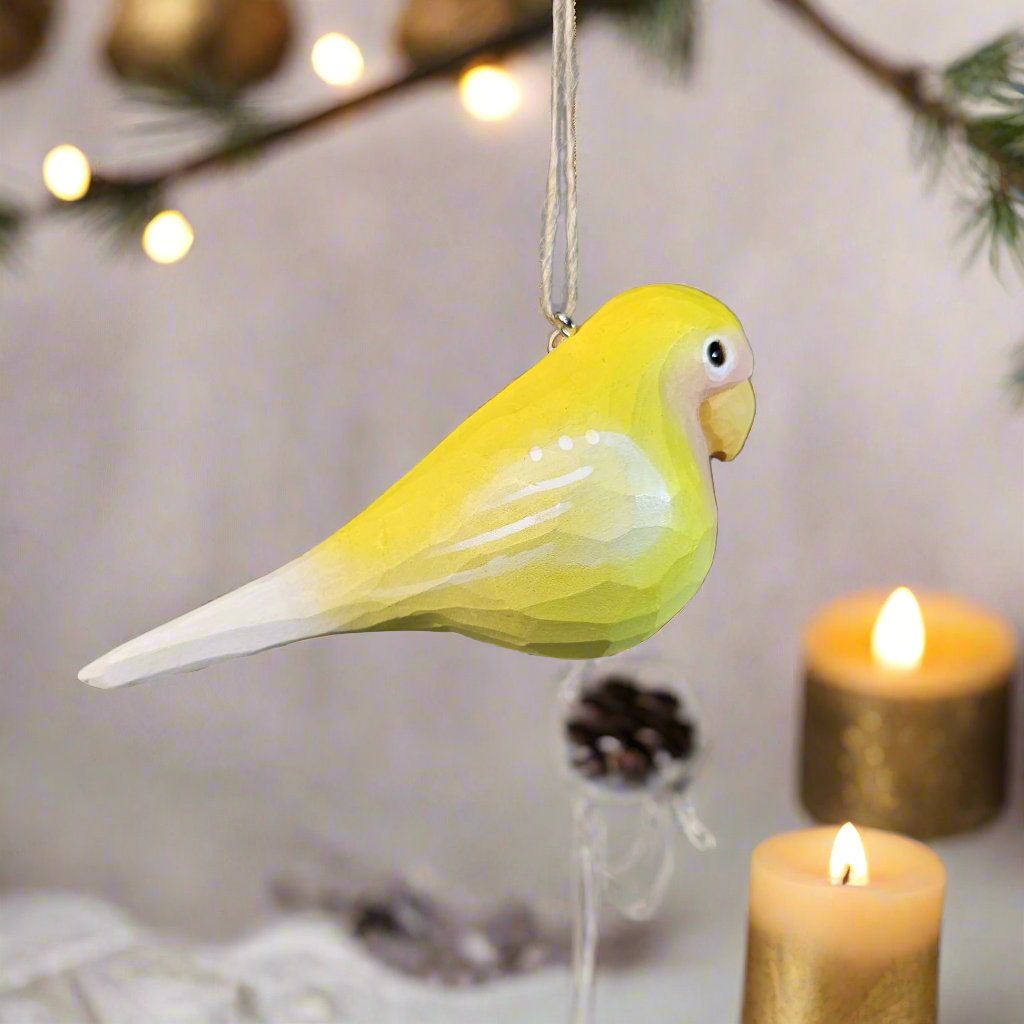 Parakeet Hanging