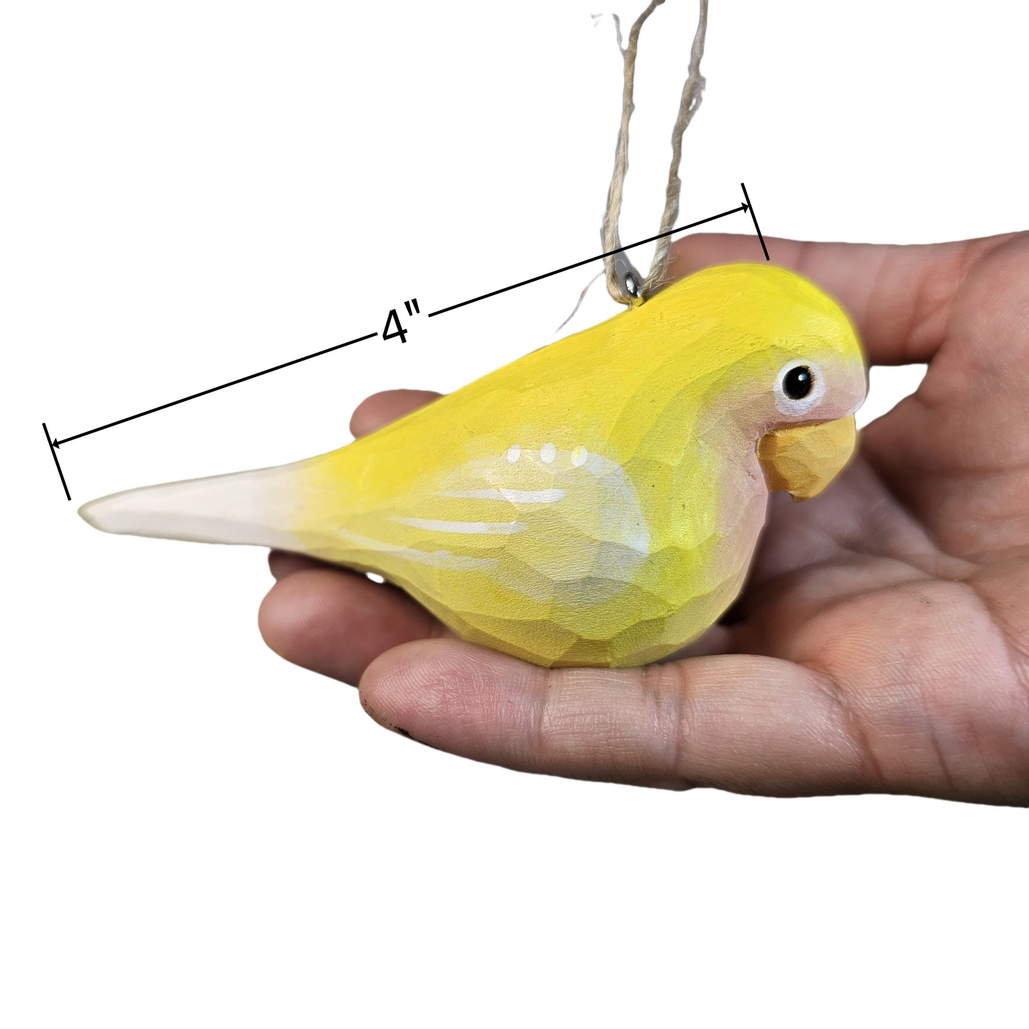 Parakeet Hanging