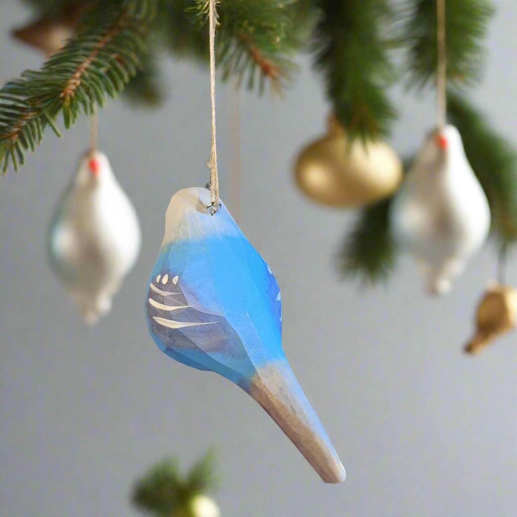 Parakeet Hanging