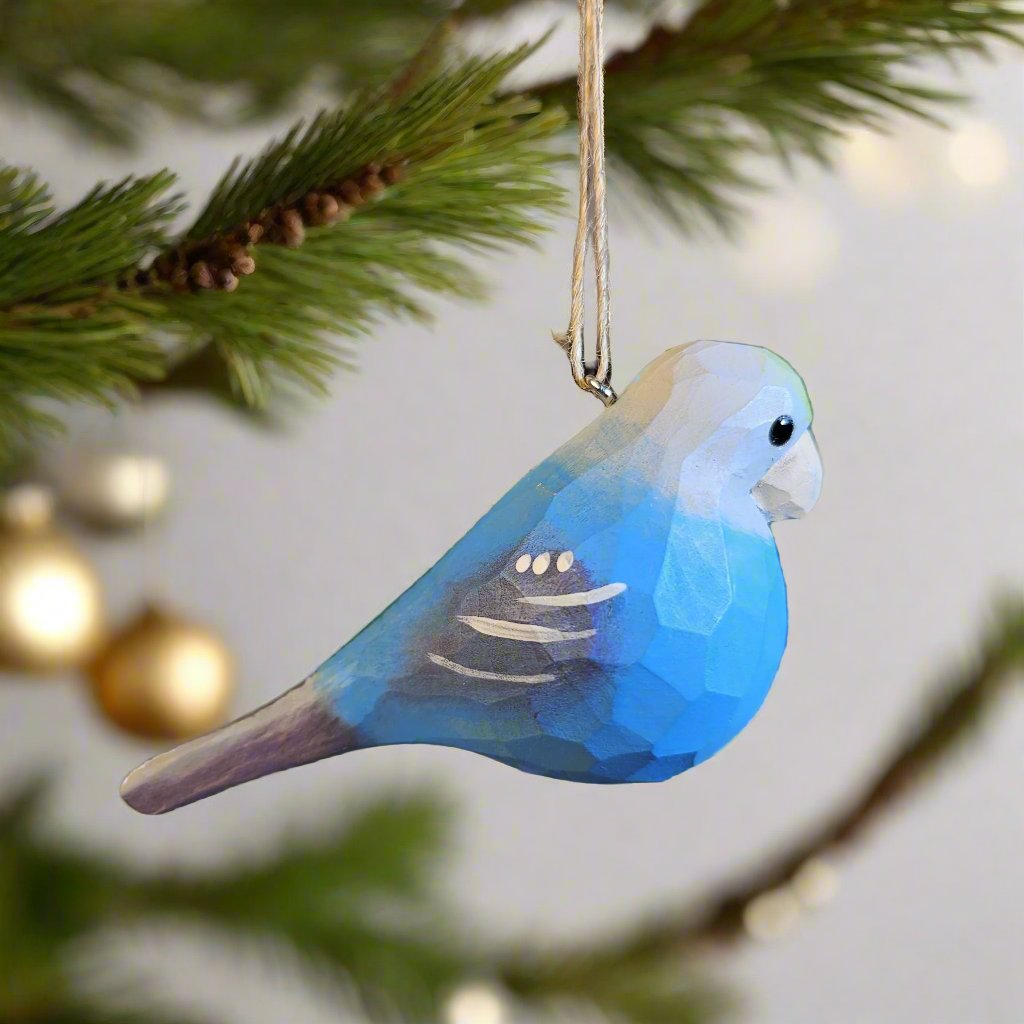 Parakeet Hanging