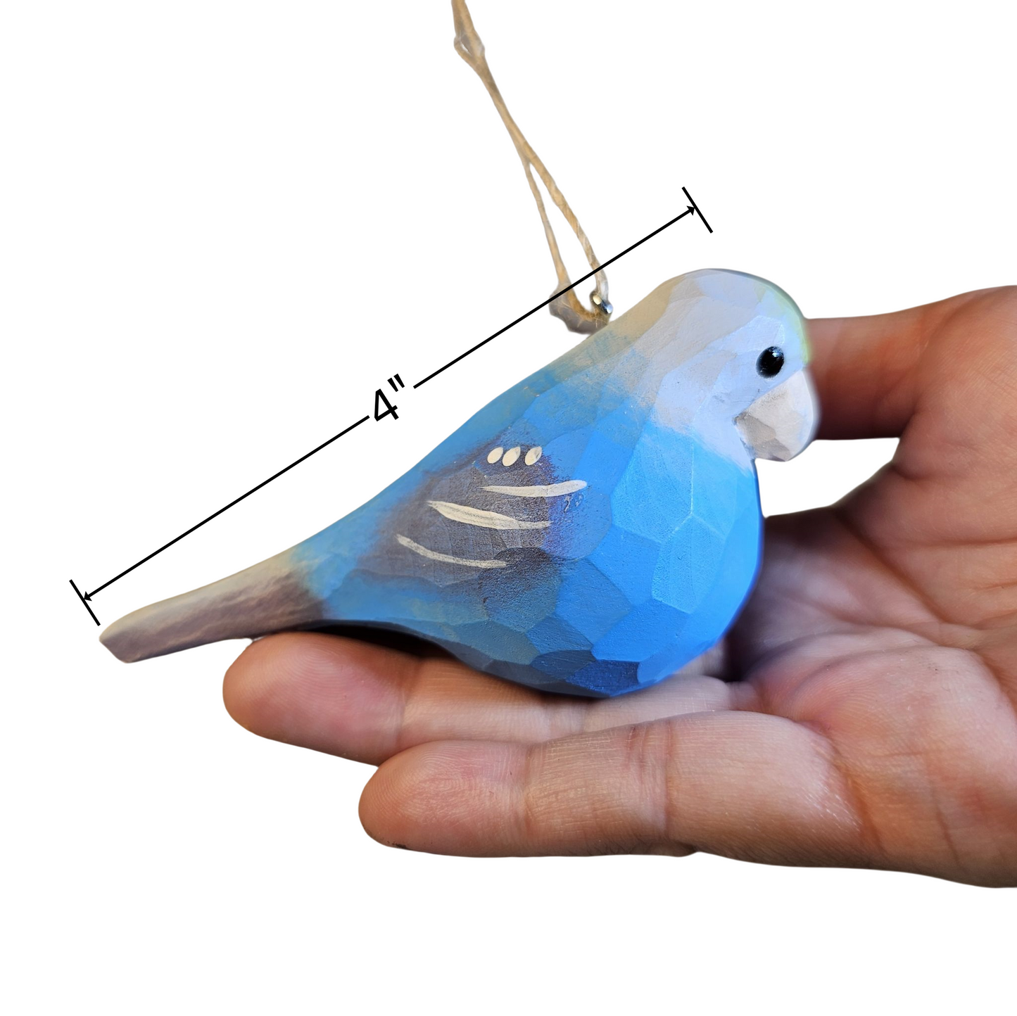 Parakeet Hanging