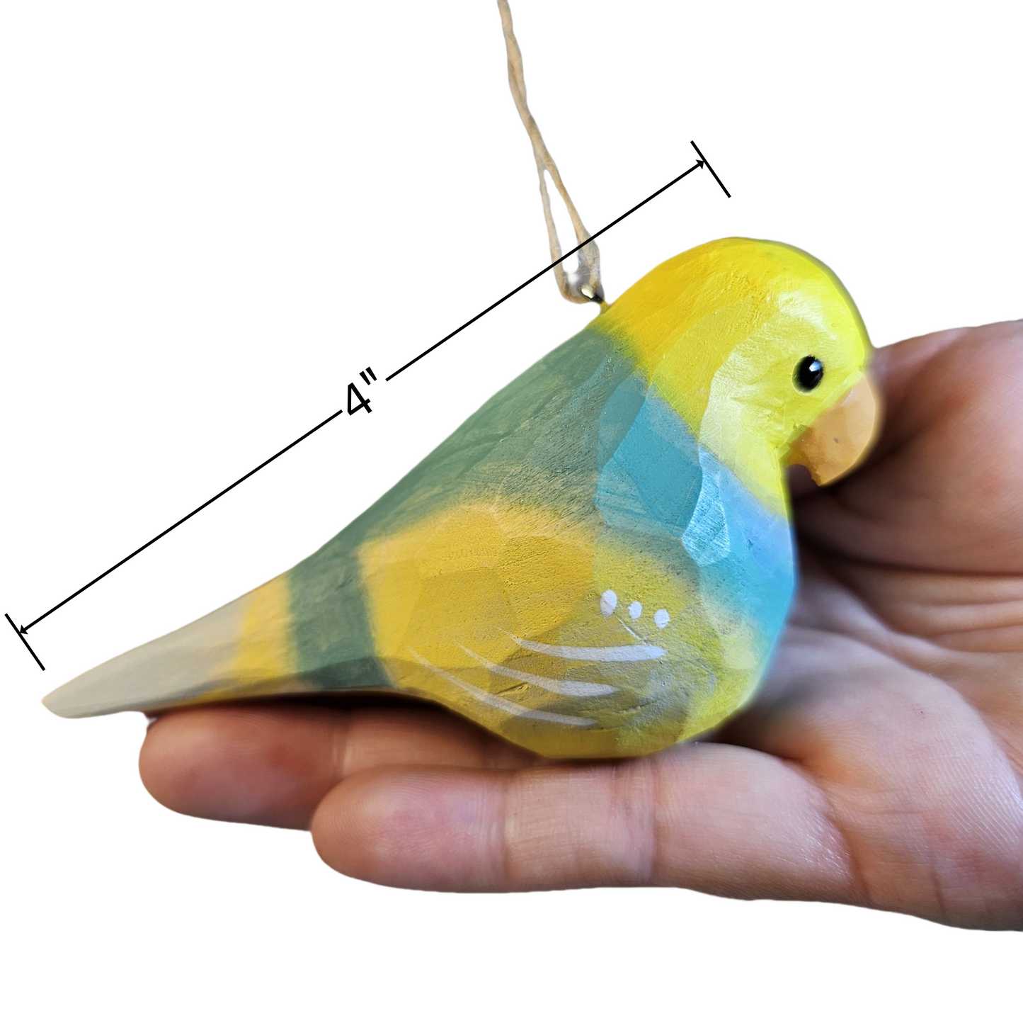 Parakeet Hanging