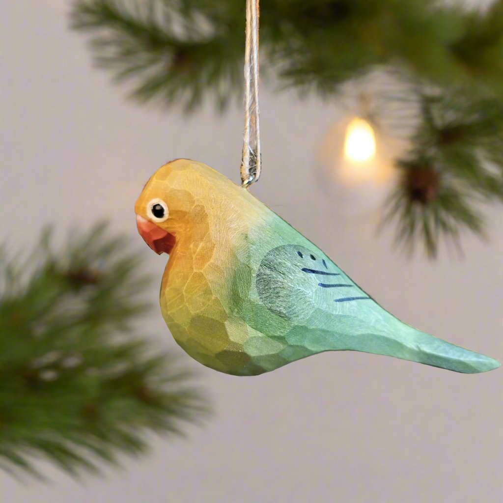 Parakeet Hanging