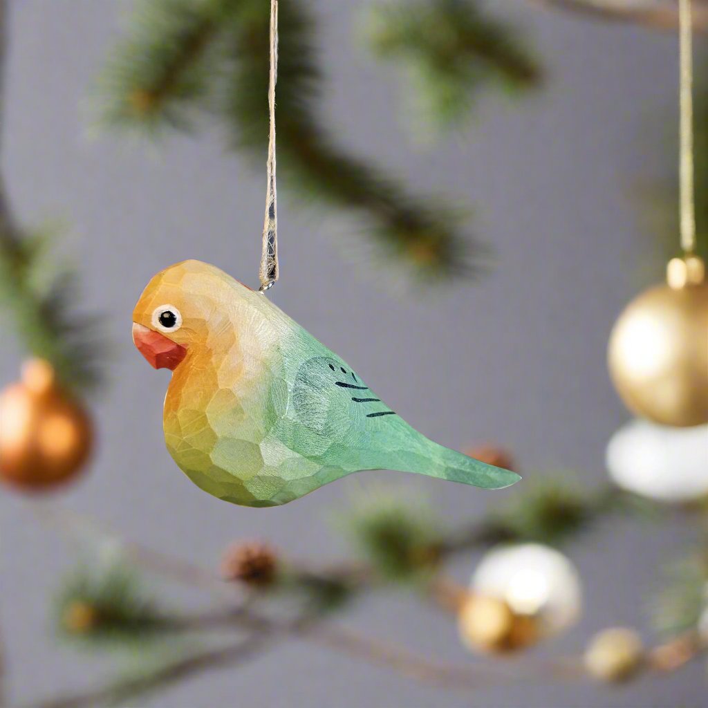 Parakeet Hanging