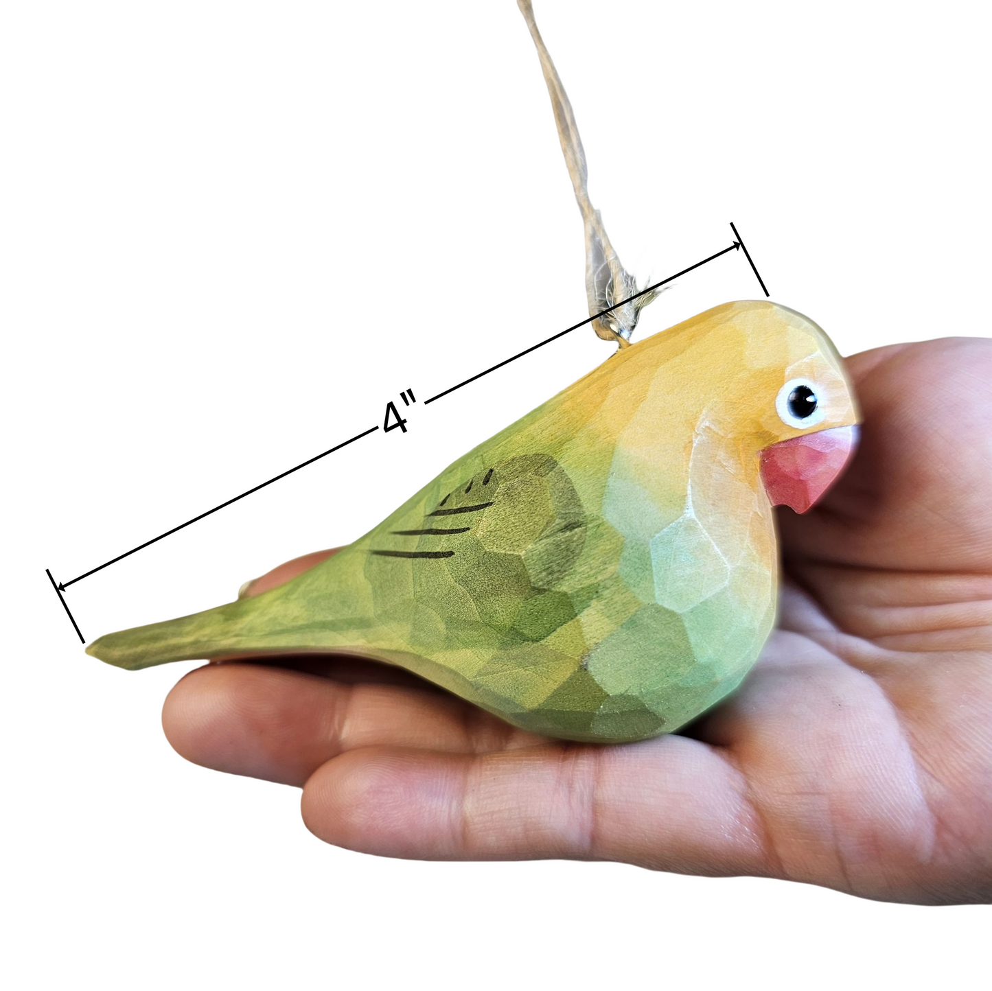 Parakeet Hanging