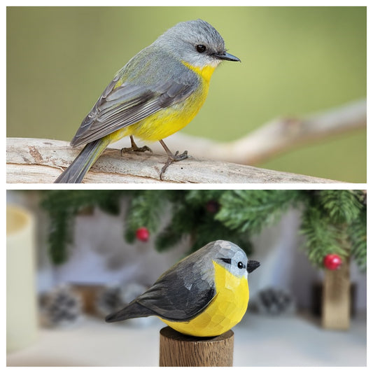 Eastern Yellow Robin on Stand
